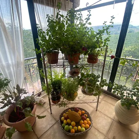 Apartmán Greek Tuscany Vasiliki's