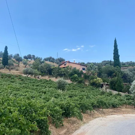 Greek Tuscany Vasiliki's *
